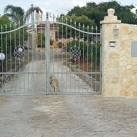 Casetta Albizia San Vito dei Normanni Exteriör bild